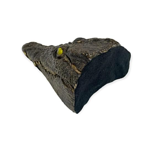 Testa Coccodrillo del Nilo